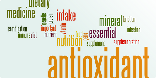 Antioxidantien: Die unsichtbaren Helden unserer Gesundheit